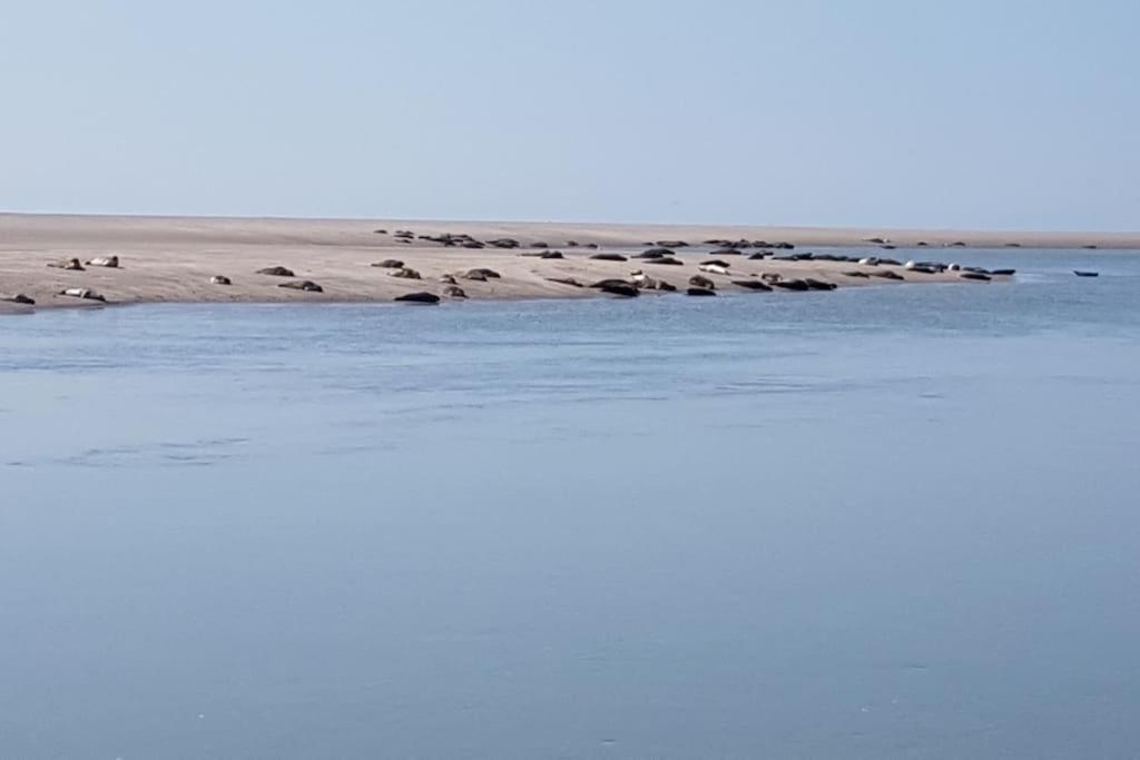 Maison Berckoise Belle Epoque - Plage Et Centre Kültér fotó